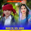 About Maro Dil Rov Januu Song